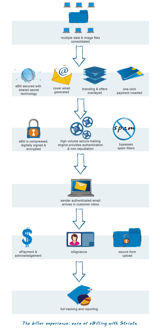 Striata-email-billing-biller-experience