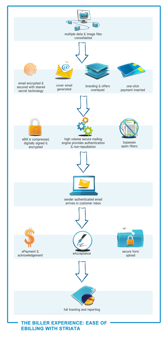 Striata-email-billing-biller-experience