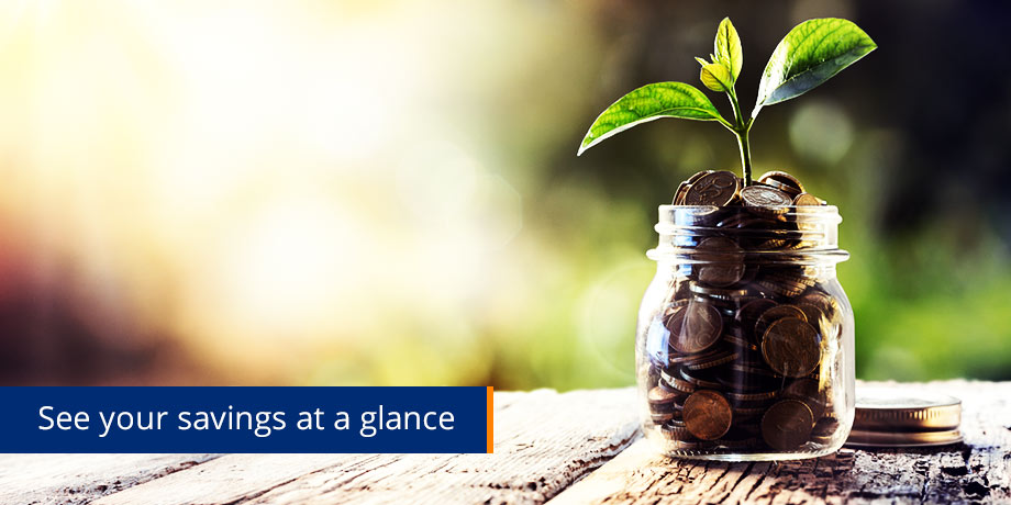 See Your Savings At A Glance See Your Savings At A Glance