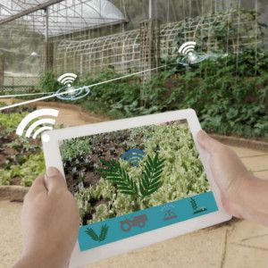 Smart farming