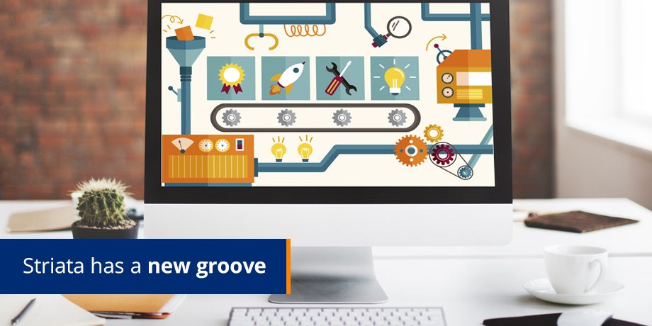 Striata Has A New Groove Striata Has A New Groove