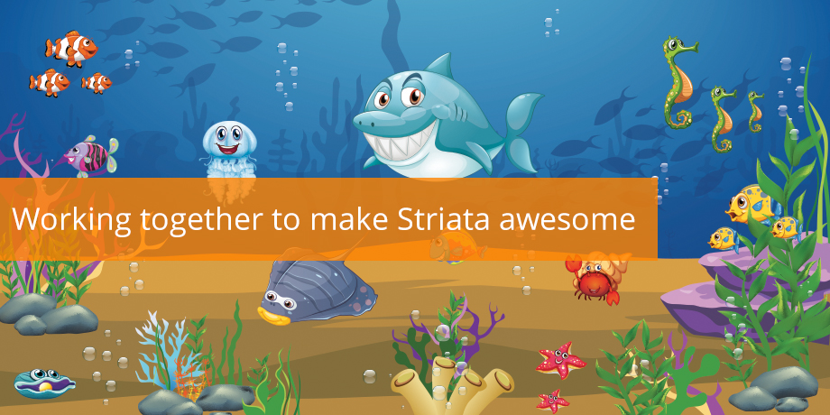 Working Together To Make Striata Awesome