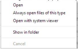 eBill PDF options eBill PDF options