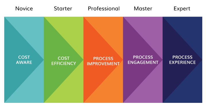 Digital Maturity Model