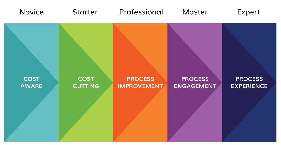 Striata Digital Maturity Framework